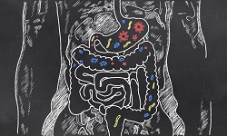 Osservatorio Integratori & Salute la salute passa dall’intestino: le nuove frontiere della ricerca sul microbiota 